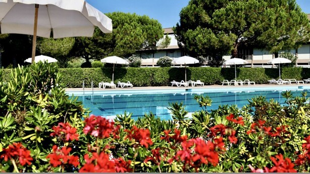 A pool area with white umbrellas and lounge chairs, surrounded by greenery and trees.
