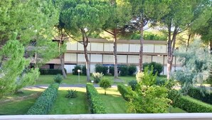 A courtyard with a building, trees, and well-maintained hedges.