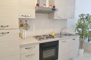 Eine moderne Küche mit Herd, Backofen und Spüle. Es gibt Schränke und einen Blumentopf.