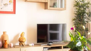 Olohuone, jossa on televisio, koriste-esineillä täytetty puinen hylly, lasipöytä, jonka päällä on hedelmäkulho, ja ruukkukasvi.