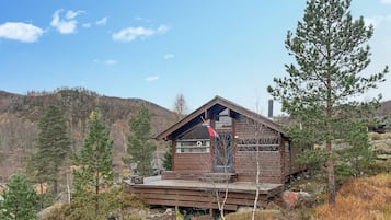 Ulkopuoli