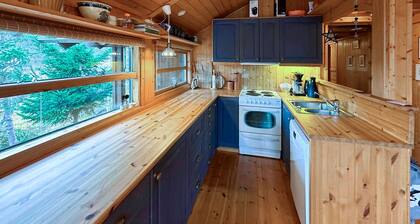 3 bedroom cozy home in Tjørhom
