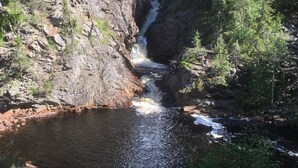 A narrow canyon with a waterfall, surrounded by dense forest.