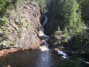 A narrow canyon with a waterfall, surrounded by dense forest.