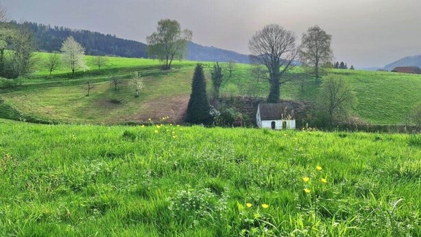 Ferienhaus | Unterkunftsgelände