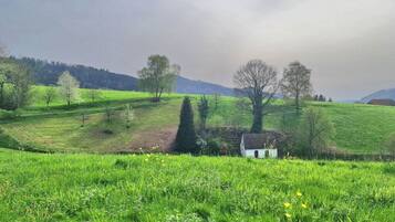 House | Property grounds