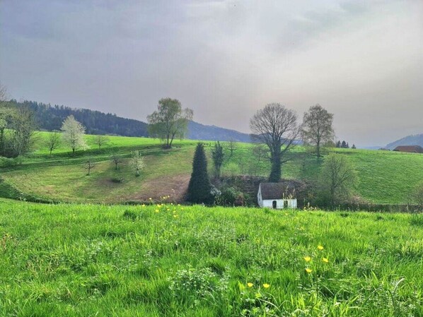 House | Property grounds - on the Avenue Comfortable Holiday Residence (Waldkirch)