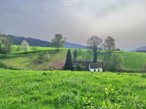 on the Avenue Comfortable Holiday Residence