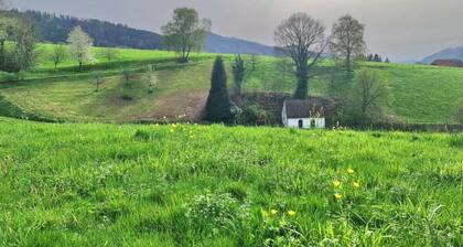 on the Avenue Comfortable Holiday Residence