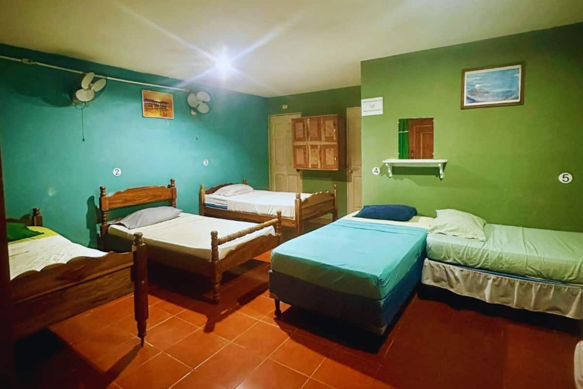 A room with four wooden beds, green walls, a tiled floor, and a ceiling fan.