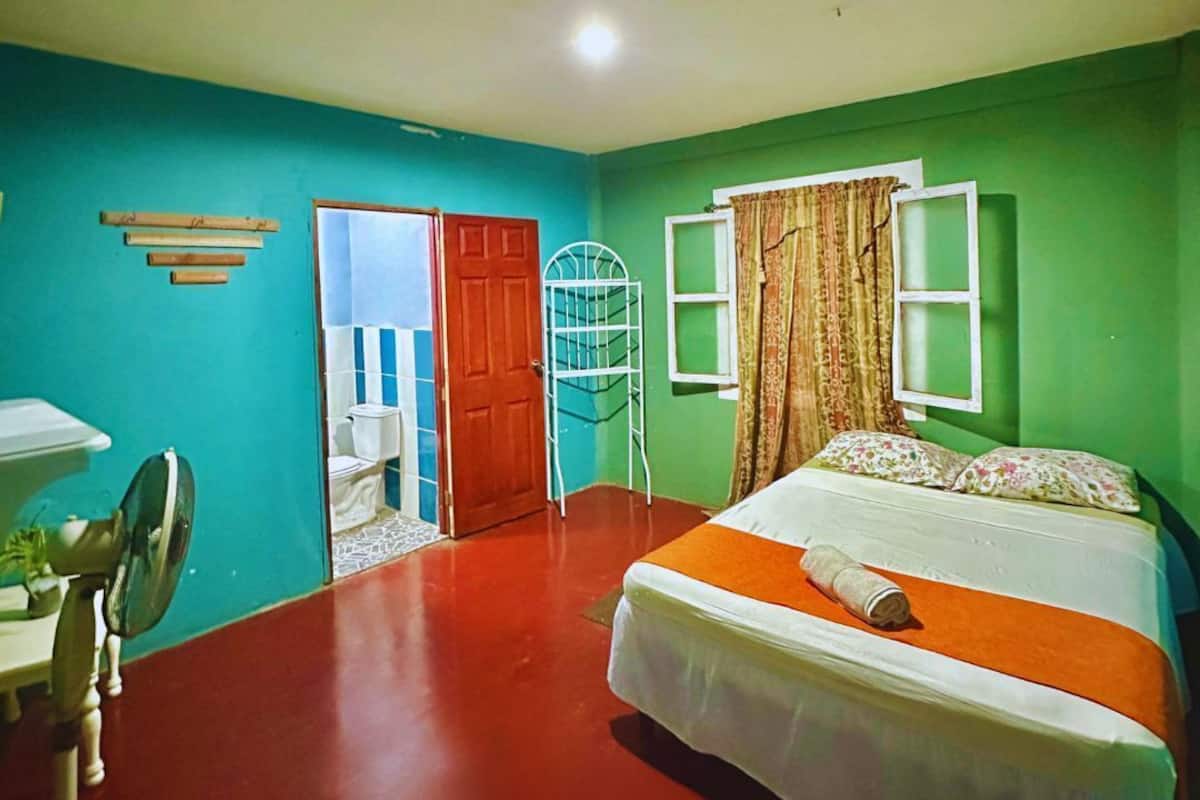 A room with a bed, a desk, a chair, a radiator, and a window with curtains.