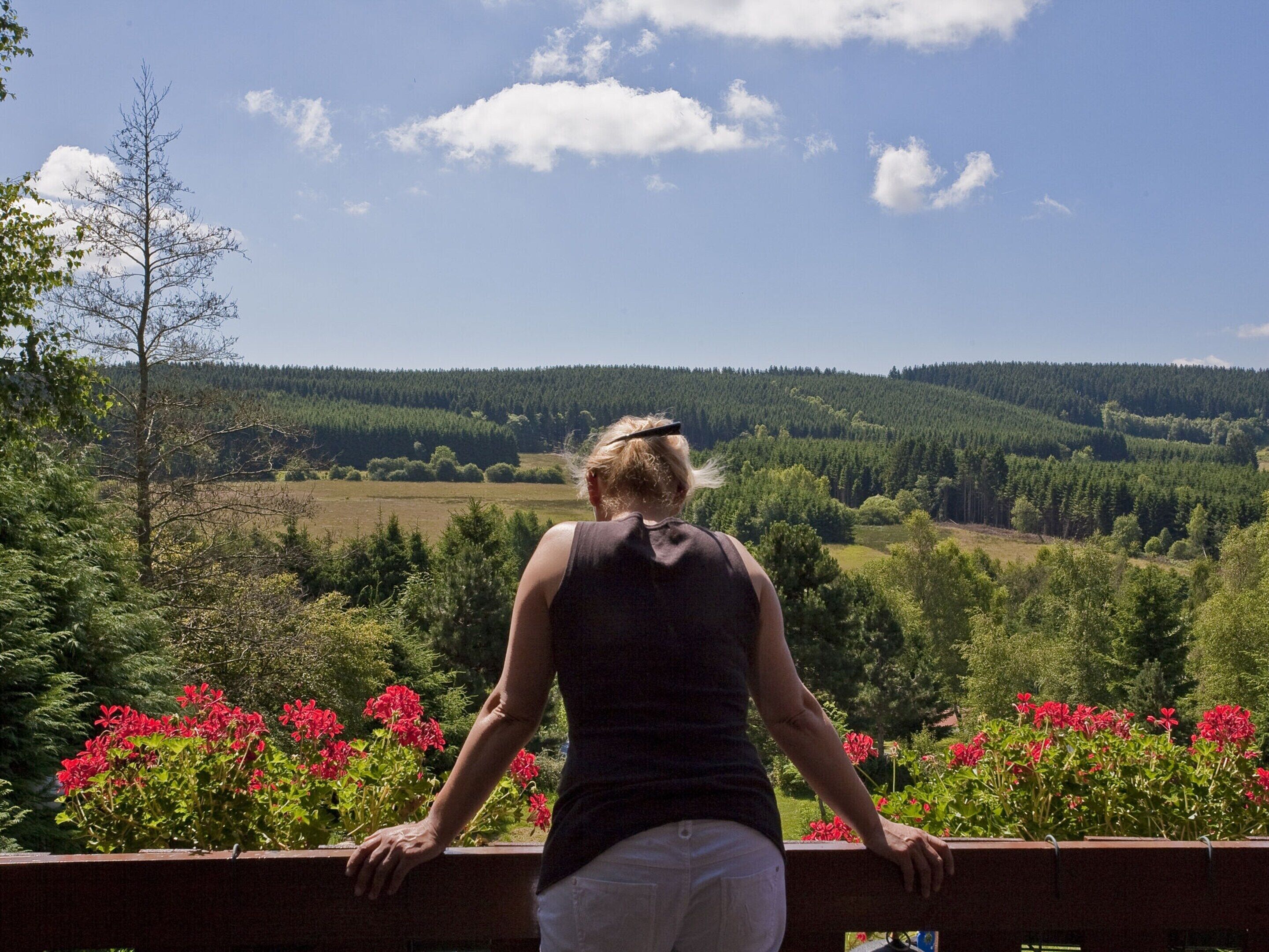 A person standing on a balcony with a view of a forested valley and red flowers in the foreground.