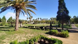 Ein gepflegter Park mit verschiedenen Bäumen, darunter Palmen und Nadelbäume, und einem strahlend blauen Himmel.