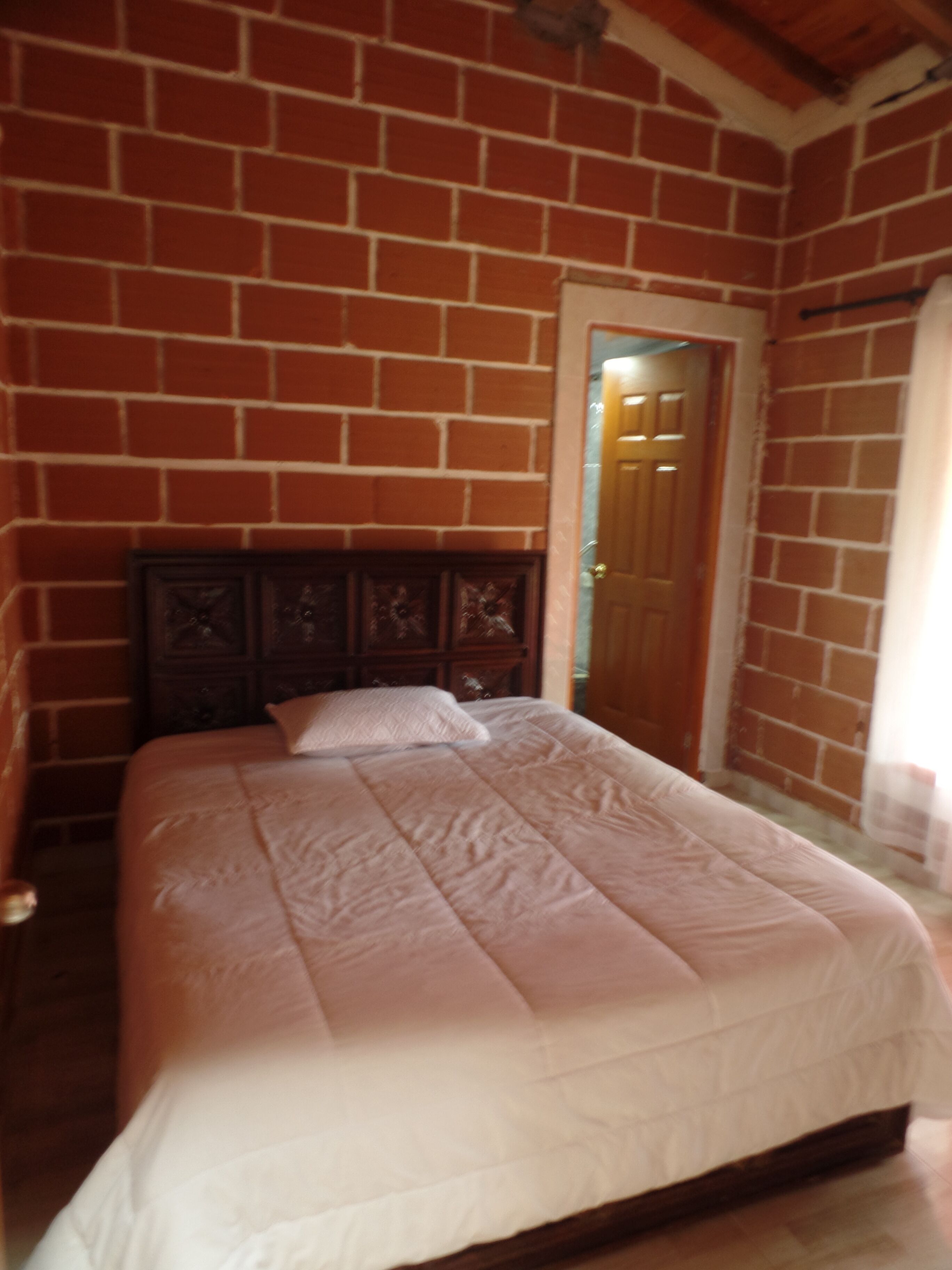 Cottage, Garden View | Pemandangan dari bilik