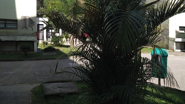 Property grounds - Round trip - LA11-Bertioga, SESC, Riviera, Vista Linda, Indaiá (Jardim Rafael Bertioga)