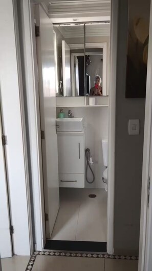 Shower, hair dryer, bidet, towels