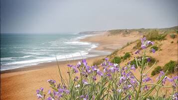 Praia