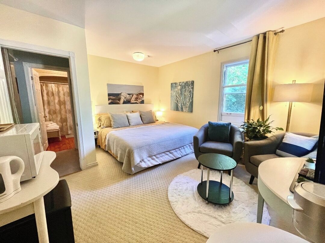 Comfort Double Room | Iron/ironing board, free WiFi