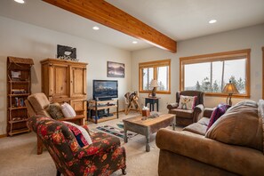 TV connectée, cheminée, jeux vidéo, lecteur de DVD