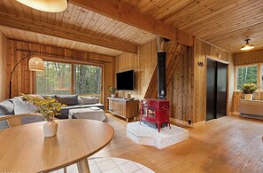 Smart TV, fireplace - Modern Adirondack A-Frame Retreat (Indian Lake)