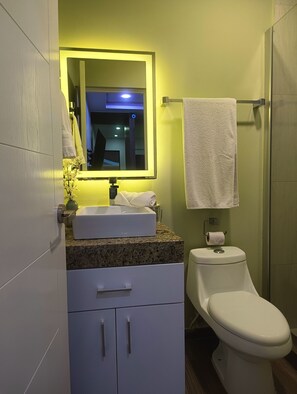 吹风机、毛巾、洗发水、卫生纸