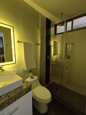 Séchoir à cheveux, serviettes fournies, shampooing, papier de toilette