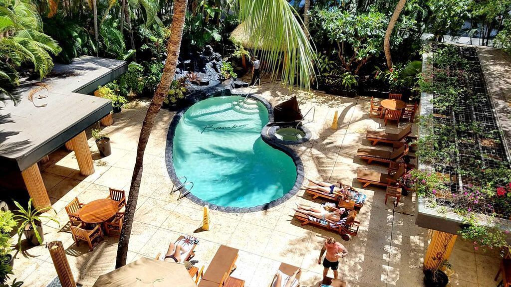 Zona de piscina con sillones de descanso y una mesa, rodeada de plantas tropicales y palmeras.