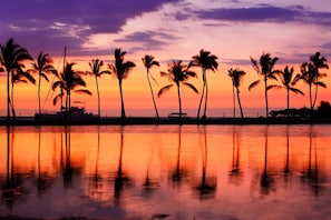 Un coucher de soleil avec des palmiers se découpant en silhouette sur le ciel, leur reflet se miroitant sur une eau calme.