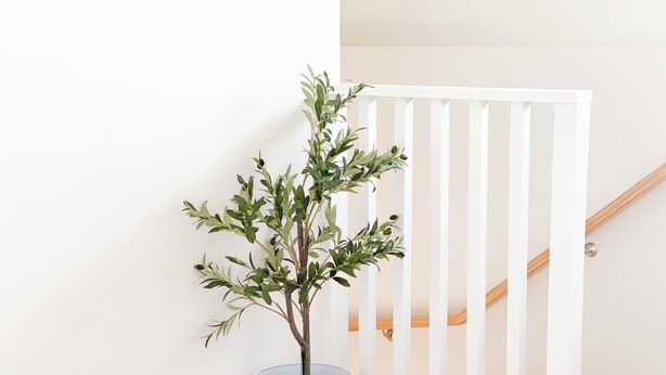 Una planta en maceta blanca junto a una pared blanca, una barandilla blanca y una escalera de madera.