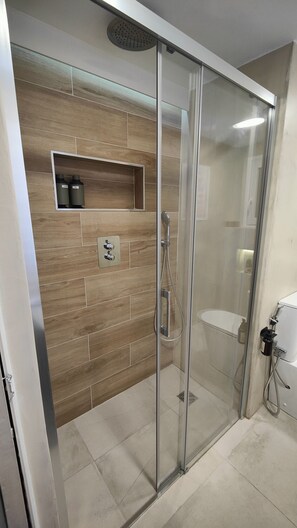 Shower, hair dryer, towels