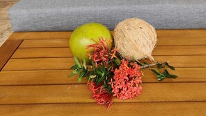 A modern living room with a grey sofa, a wooden coffee table, and decorative items including a green fruit, a coconut, and red flowers. - A place to relax and connect with nature (Playa iguanita)
