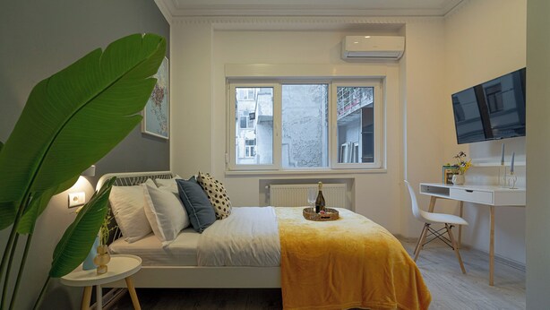 A bedroom with a bed, a desk, a chair, a large plant, and a TV. - Central 4BR Flat - 2 Units Combined with Balconies, Near Cismigiu, 2 Kitchens & 2 Baths (Bucharest)