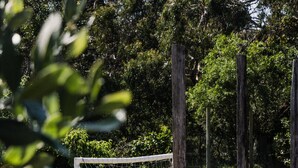 Un entorno rústico al aire libre con un muro de piedra, un cuenco de metal y postes de madera.