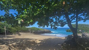 Ein Strand mit einem großen Felsen im Vordergrund, einem Baum, der Schatten spendet, und Blick auf den Ozean.