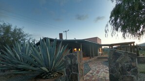 Un portón de piedra que da a un patio cubierto, con una planta de cactus en primer plano.