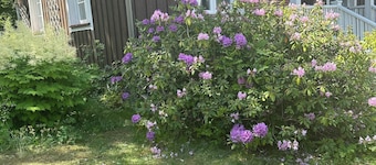 Nordic CC Villa