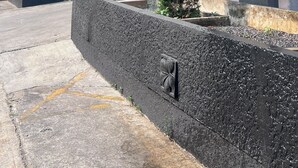 外觀