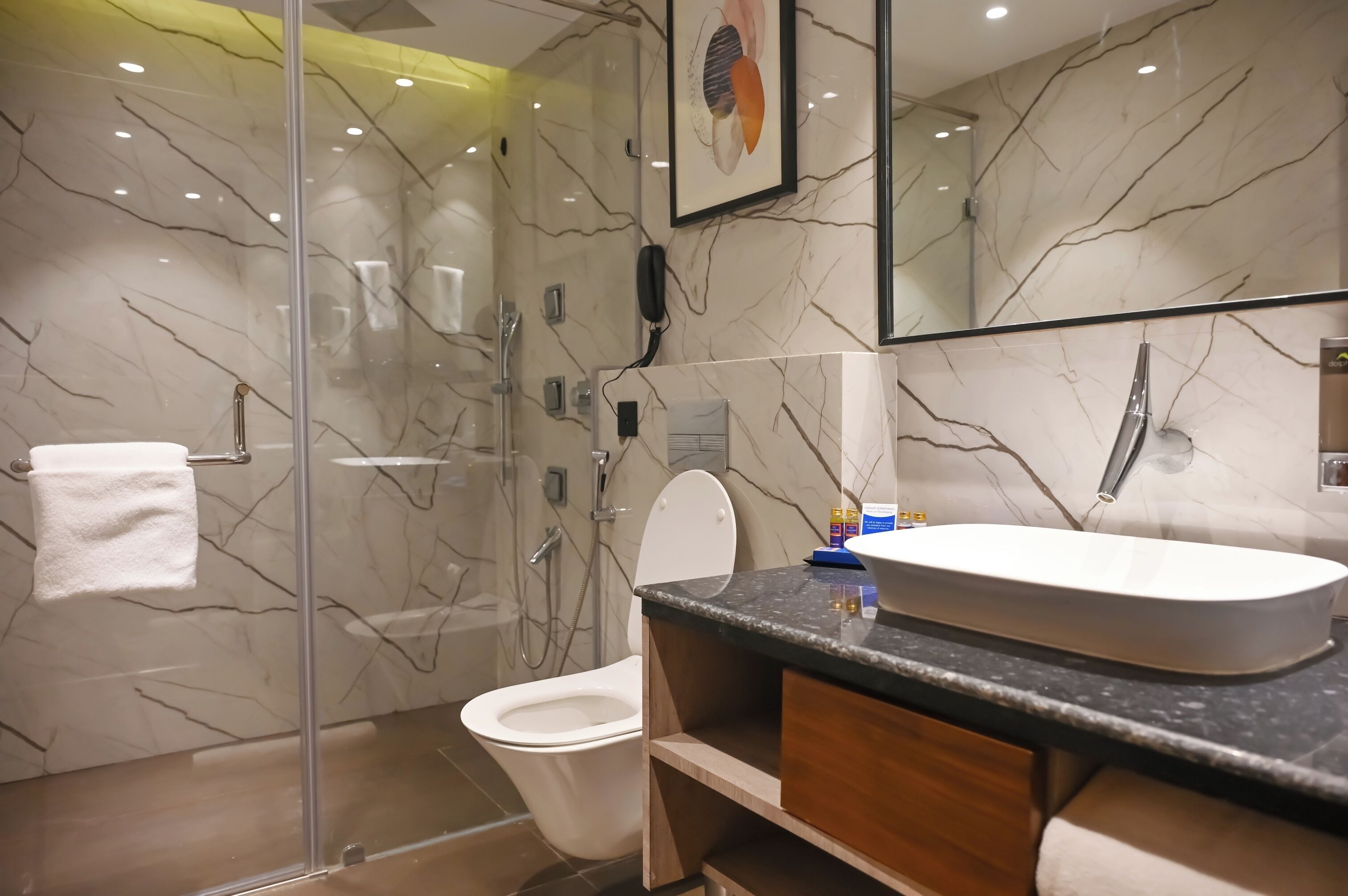Et moderne badeværelse med en brusekabine i glas, et hvidt toilet og en vaskepult med en stor vask.