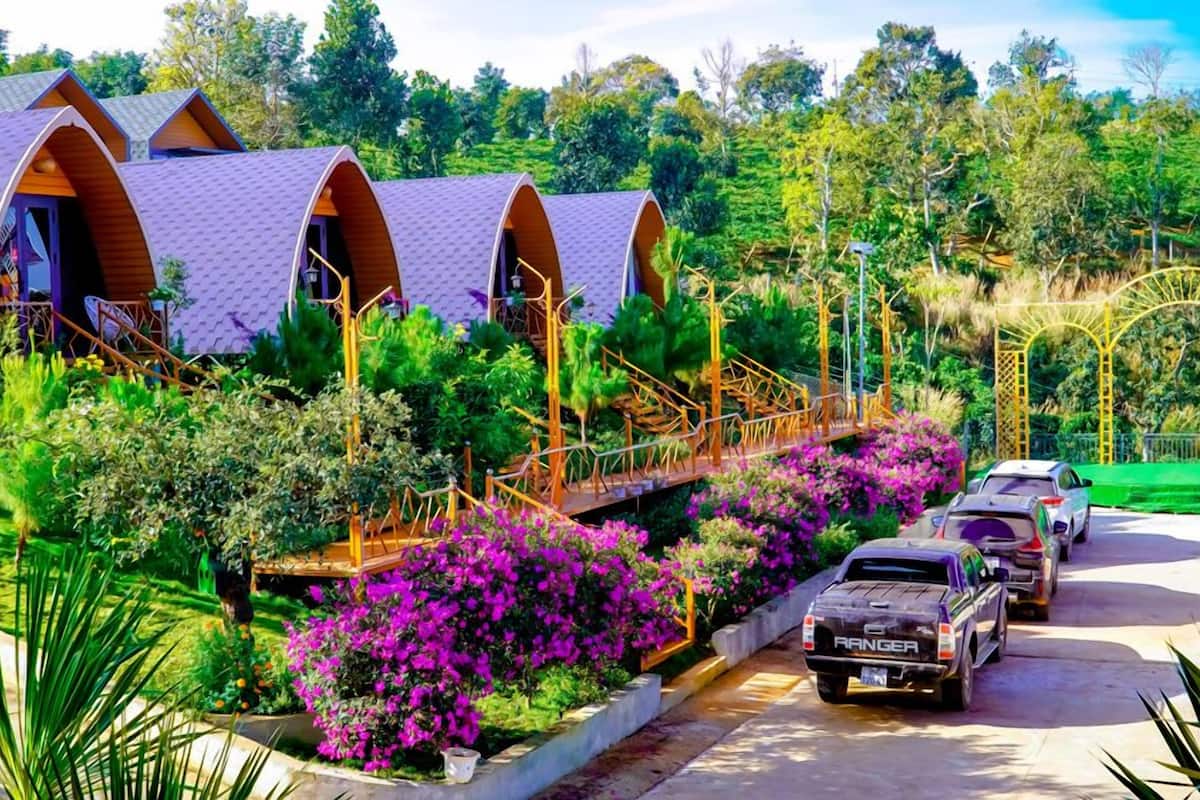 A row of dome-shaped cabins with wooden exteriors, surrounded by lush greenery and vibrant flowers.