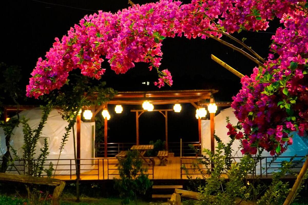 A covered outdoor seating area with a wooden structure and string lights.