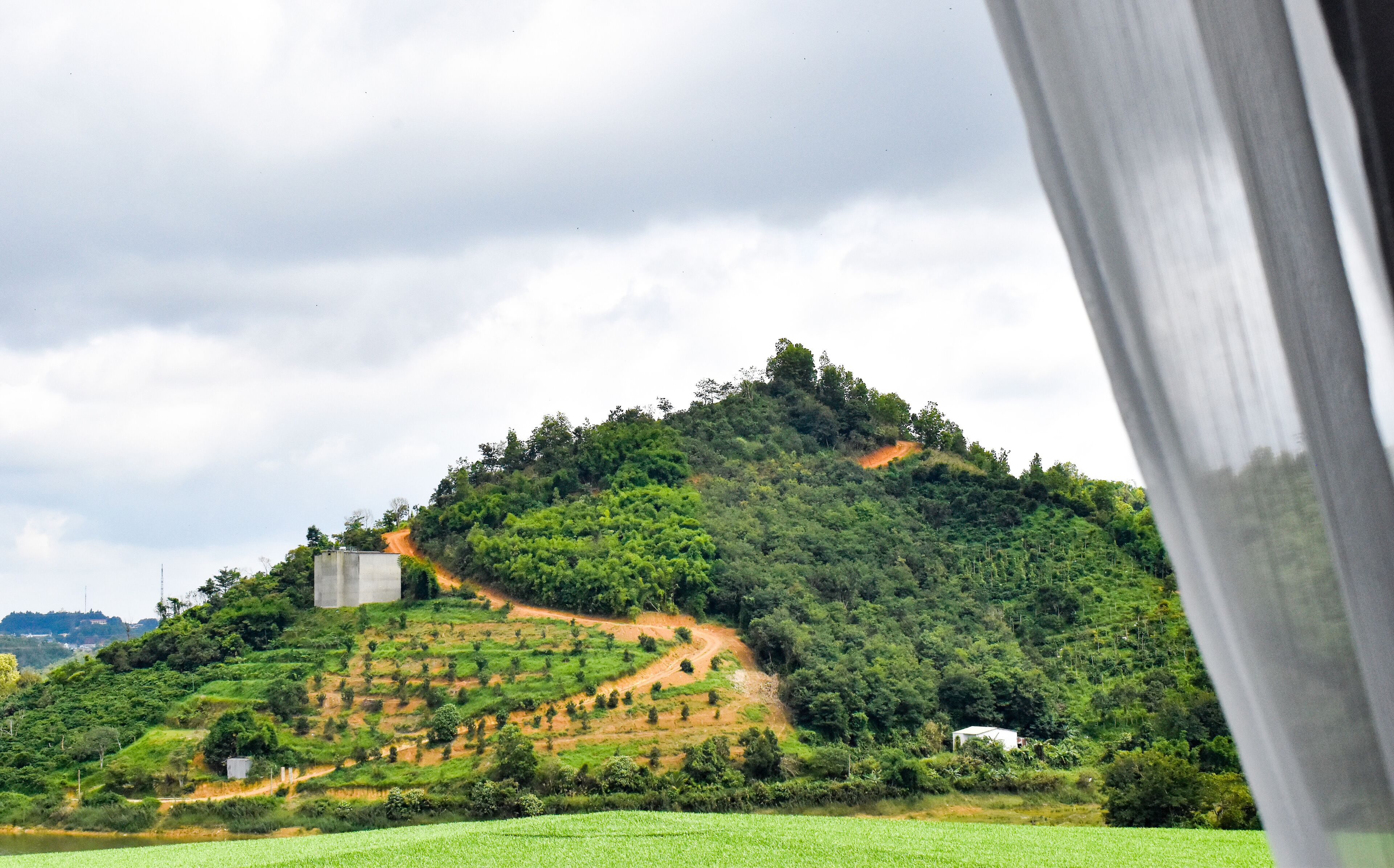 A lush green hillside with a dirt path leading up to a white building.