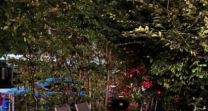 Luxus Appartement mit Wohnküche, Garten & Terrasse