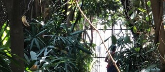 Shantidevi ashram s guesthouse