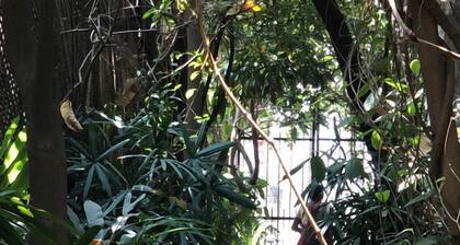 Shantidevi ashram s guesthouse