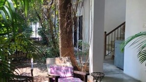 Un patio al aire libre con mesas y sillas de madera, rodeado de abundante vegetación y un árbol.