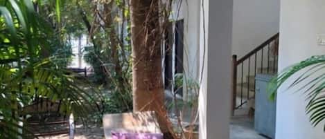 Classic Twin Room, Private Bathroom, Garden View | Terrace/patio