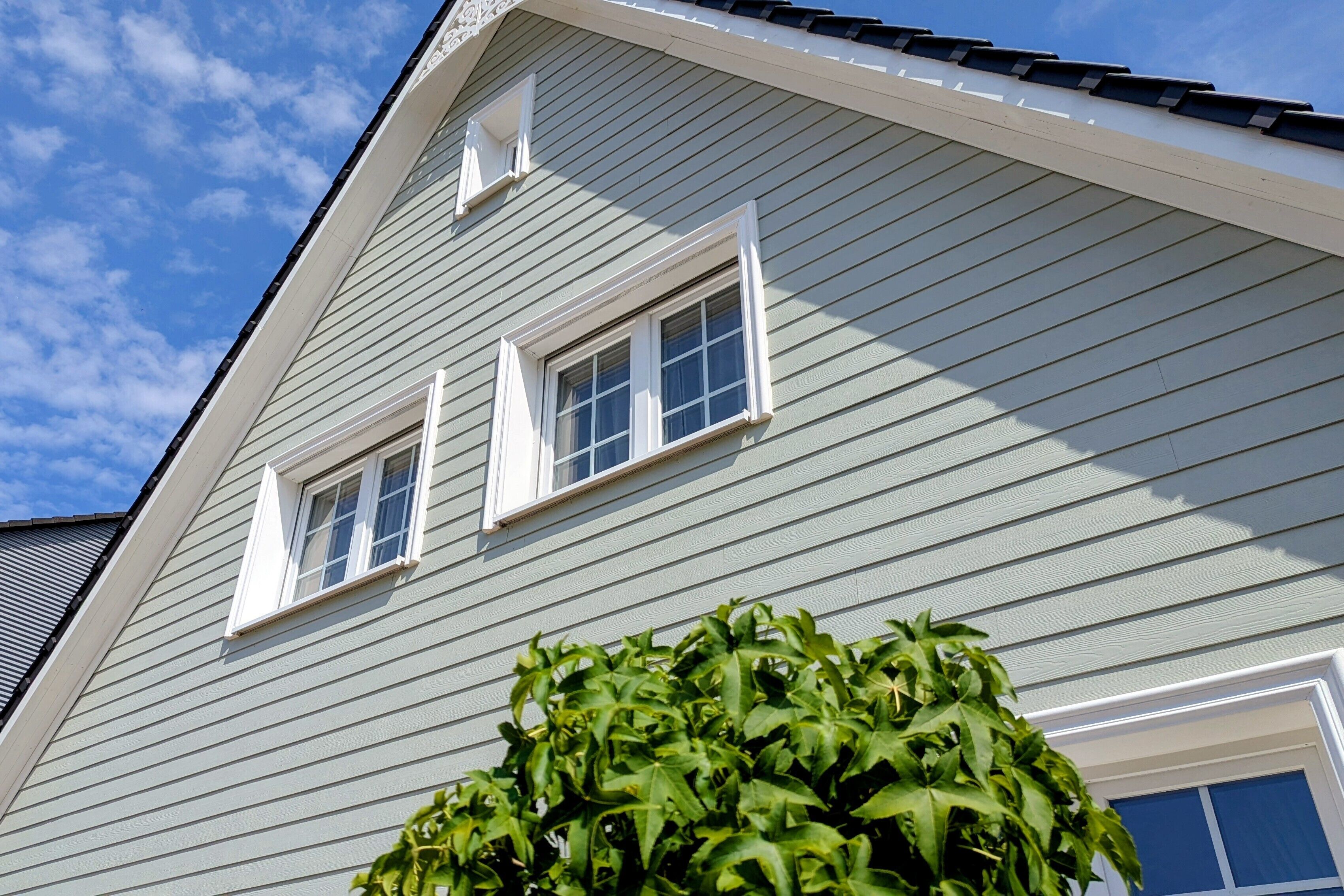 A house with two windows and a green plant in front.