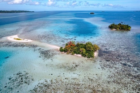 Beach. The one Resort in Solomon Islands for peaceful, relaxing vacations. Leleana!
