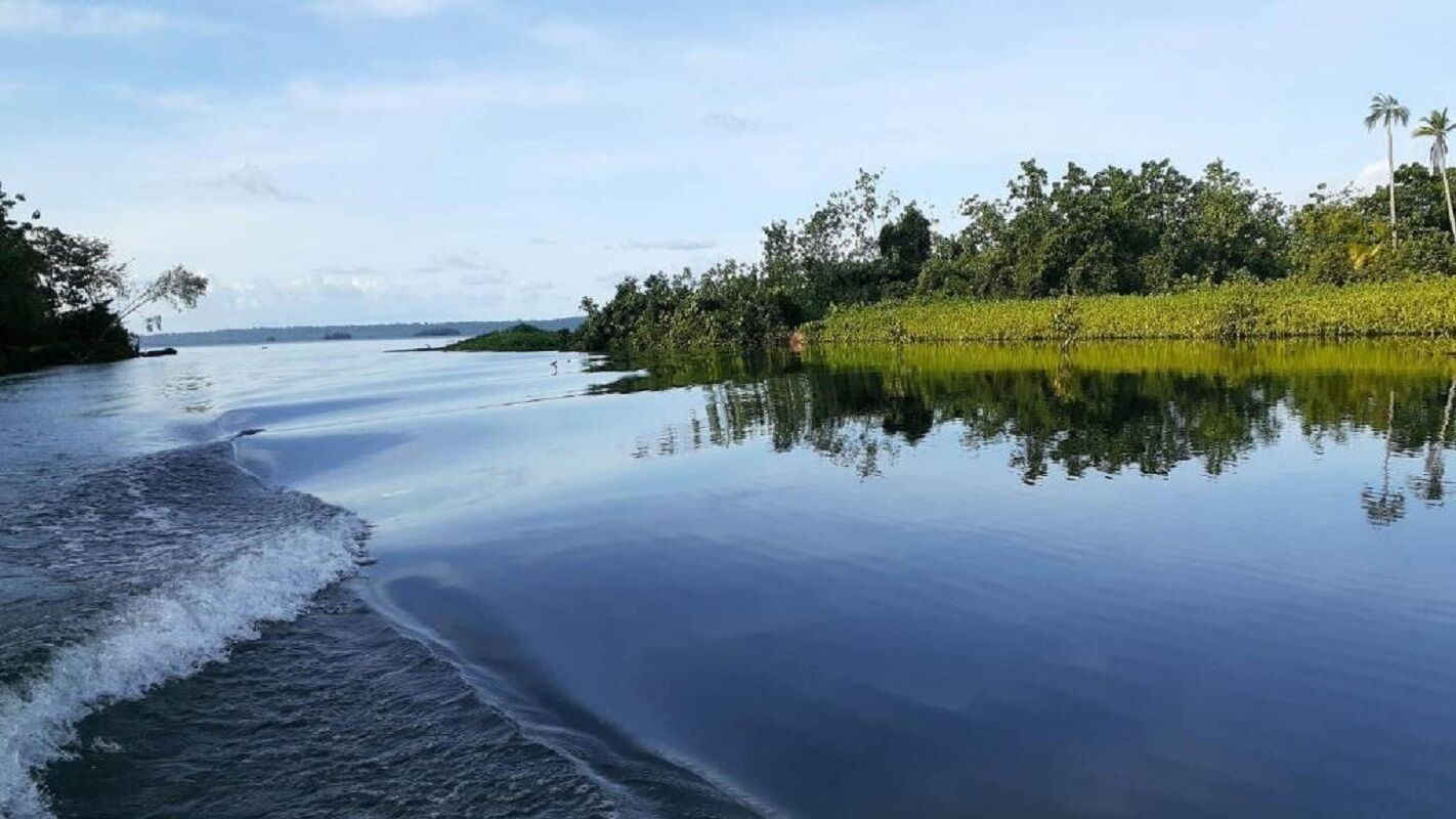 A calm river with a boat moving on the water, surrounded by lush greenery and trees.