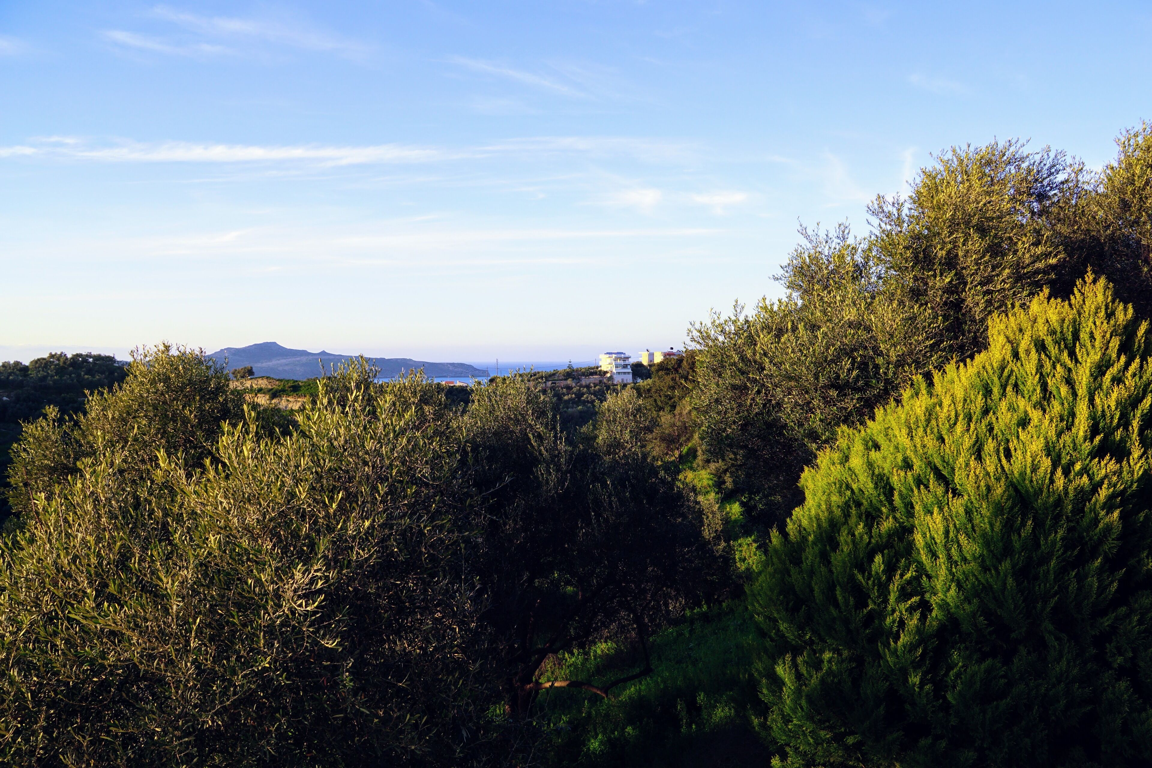 Land view from property